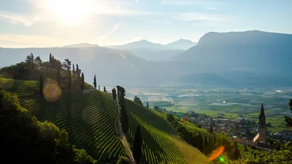 Wohlfühlen im luxuriösen Hotel in Tramin