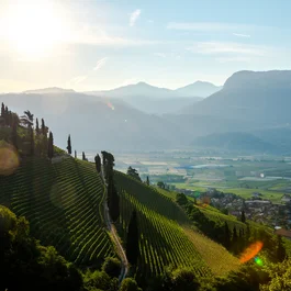Wohlfühlen im luxuriösen Hotel in Tramin