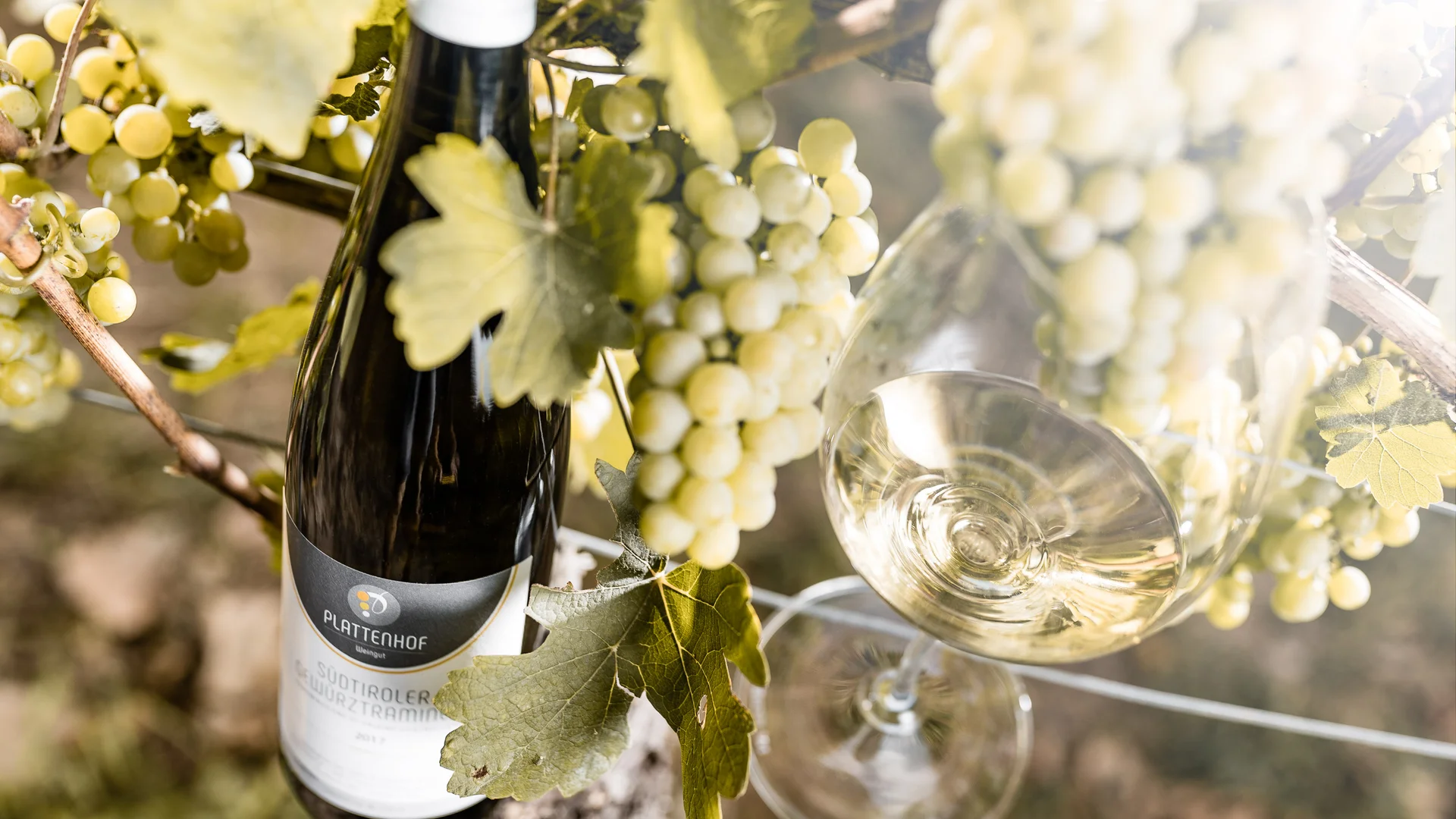 Wohlfühlen im luxuriösen Hotel in Tramin