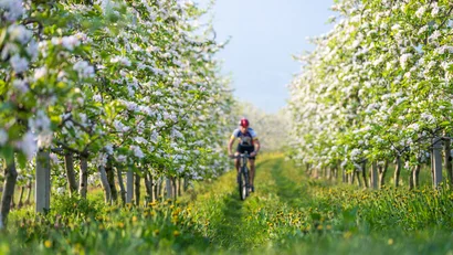 Wohlfühlen im luxuriösen Hotel in Tramin