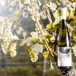 Wohlfühlen im luxuriösen Hotel in Tramin