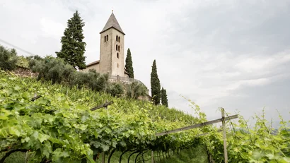 Wohlfühlen im luxuriösen Hotel in Tramin