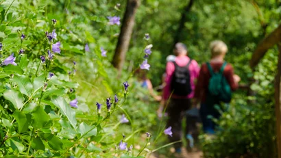 Wohlfühlen im luxuriösen Hotel in Tramin